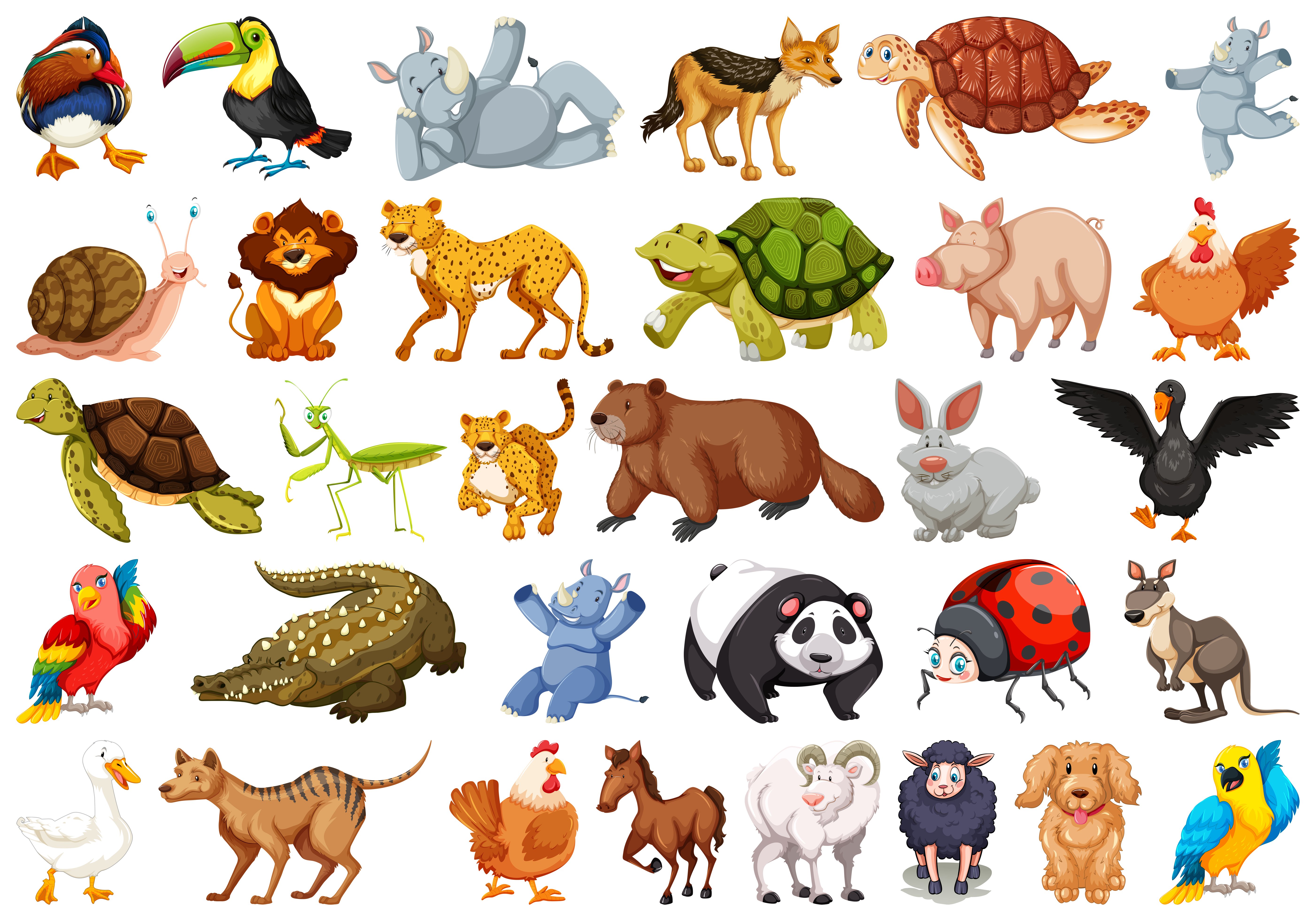 Много нарисованных животных