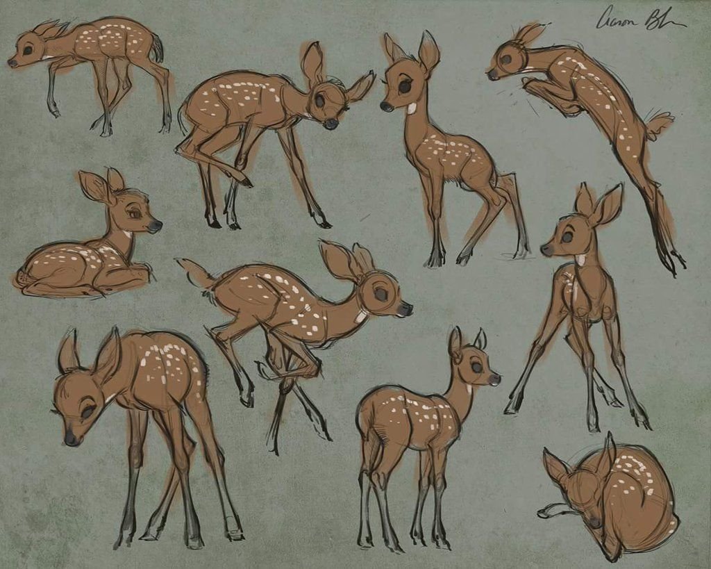 Анатомия оленя для рисования
