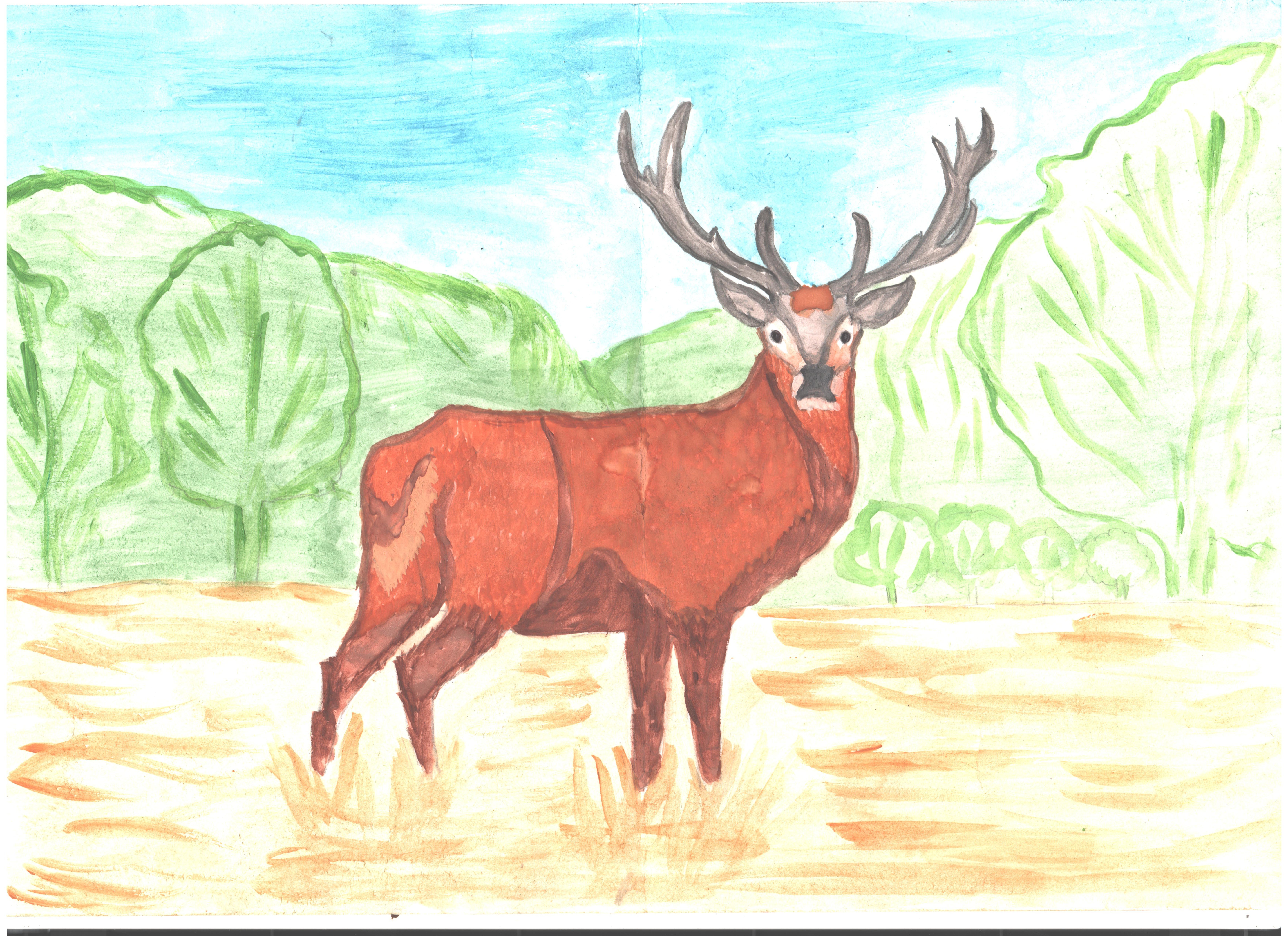 Рисование на тему олень