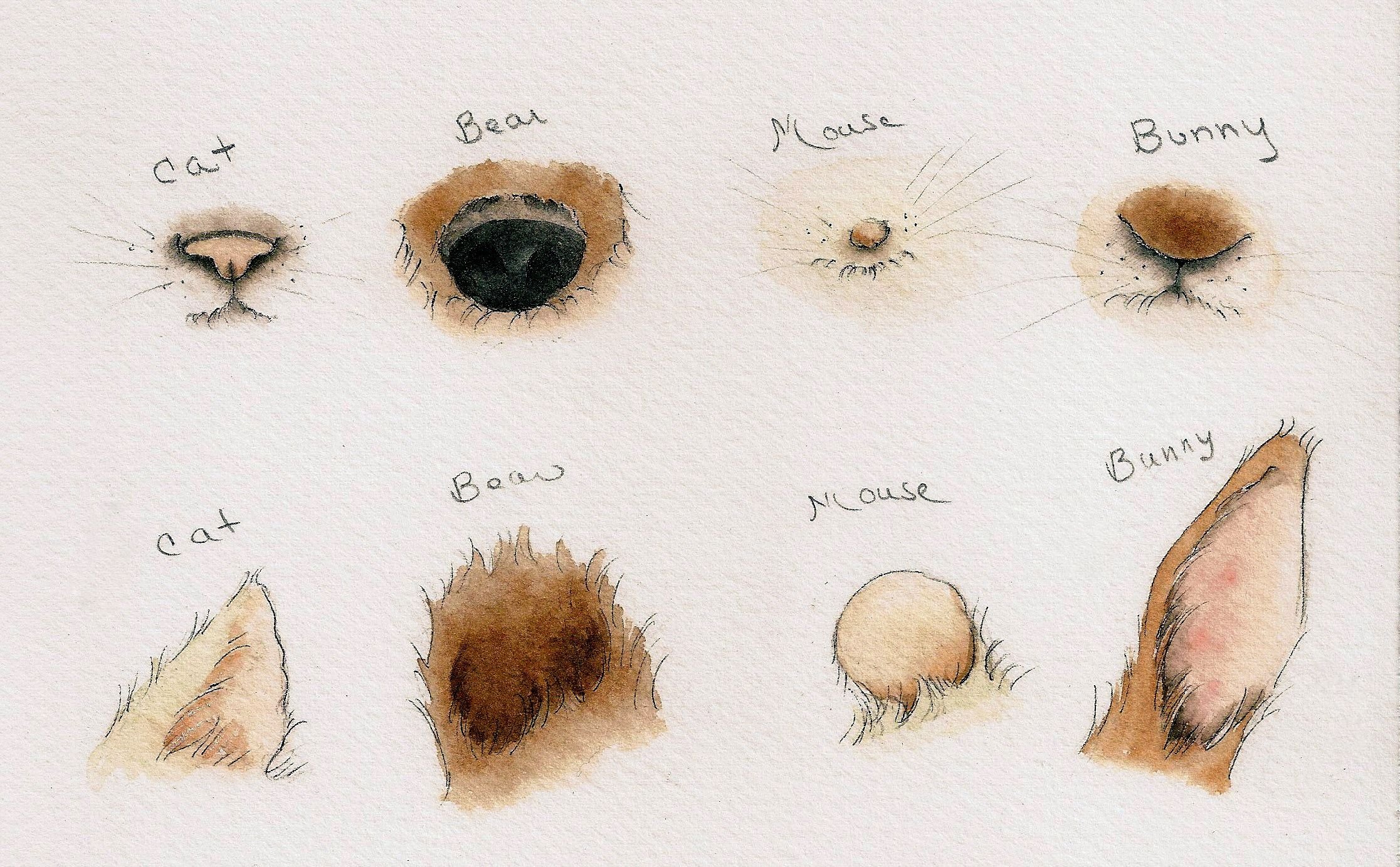 Как рисовать собачьи уши