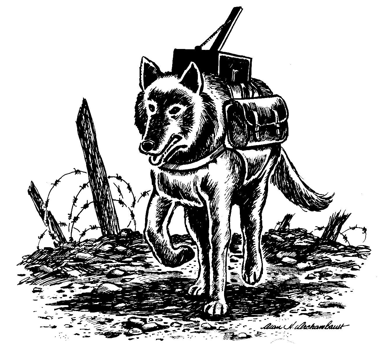Собаки Связисты герои Великой Отечественной войны