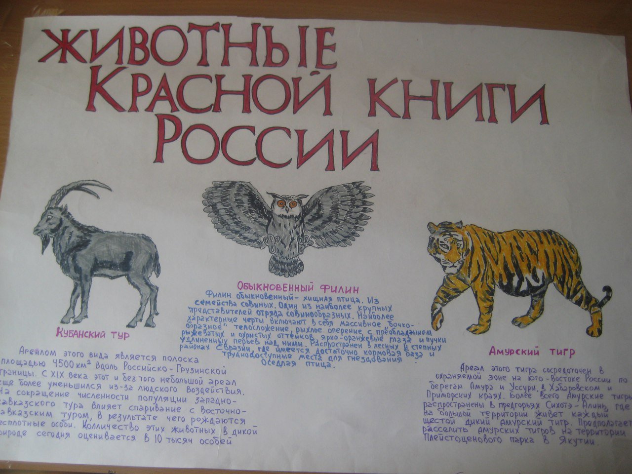 Красная книга России животных