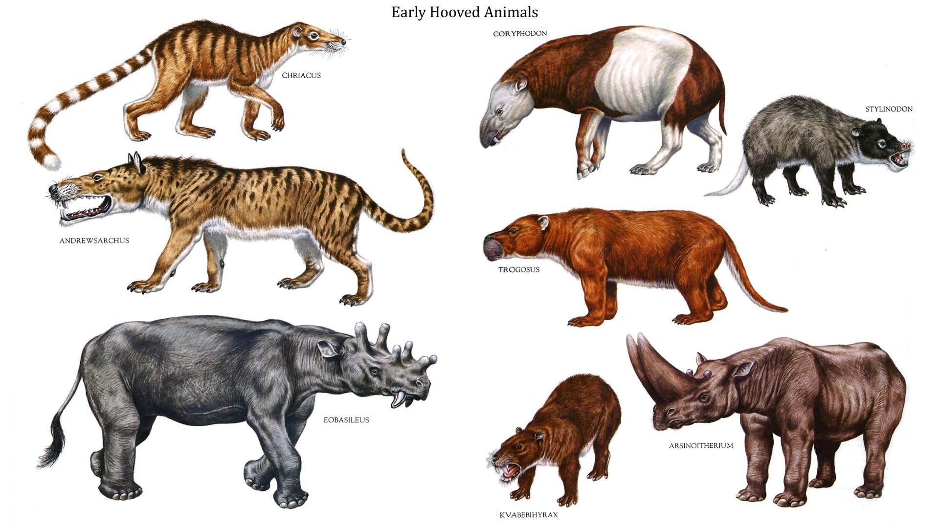 Все вымершие живут. Доисторические млекопитающие хищники. Вымершие доисторические млекопитающие. Эндрюсарх Эволюция. Предки современных животных.