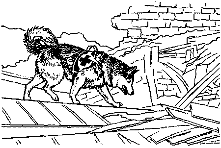 Раскраска собака спасатель