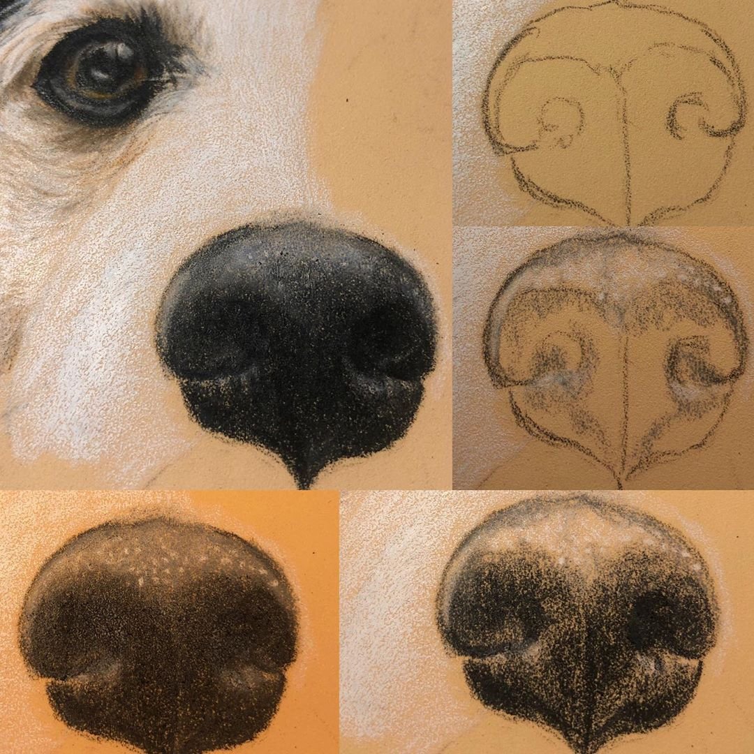 Собачий нос рисунок