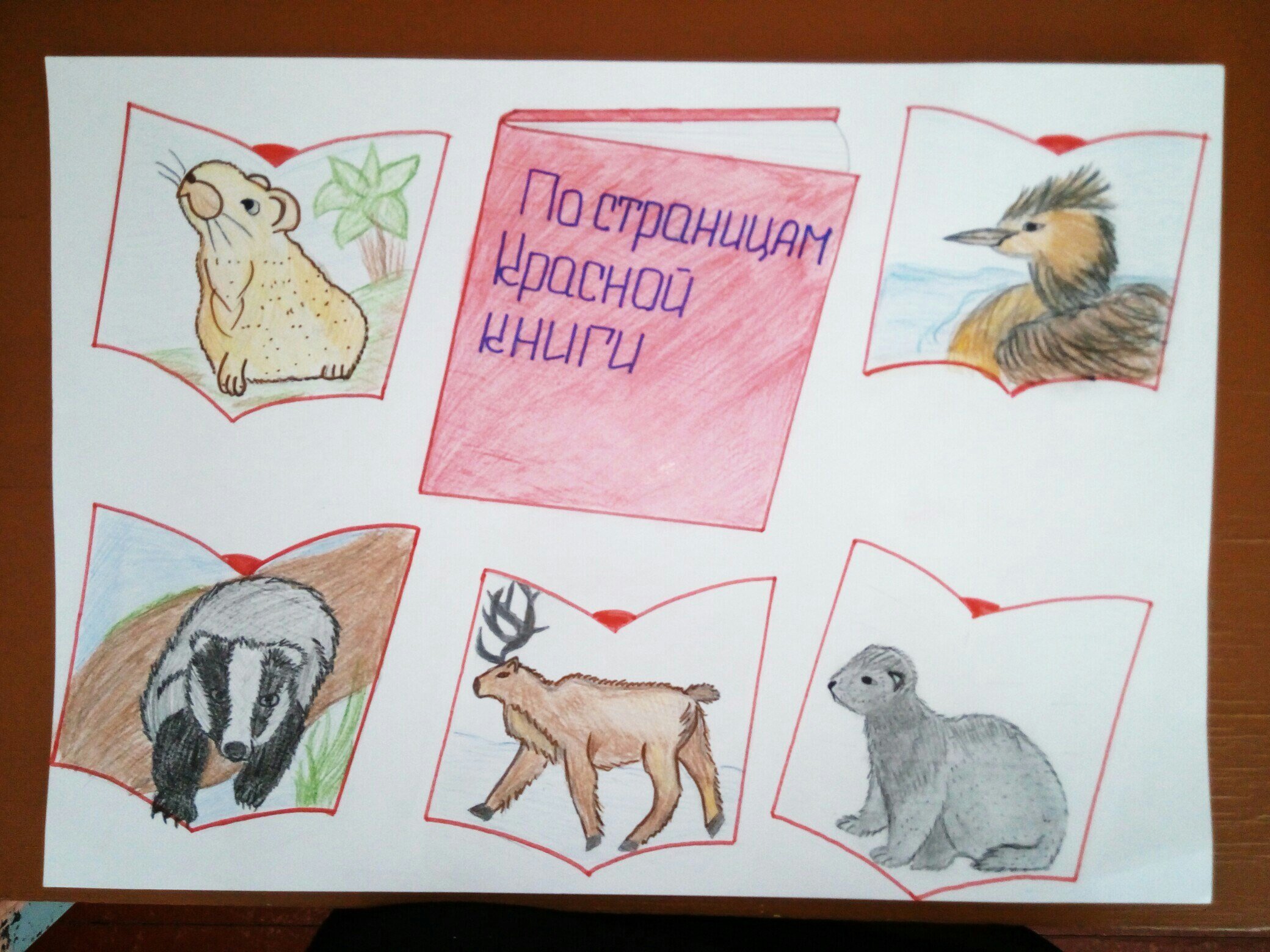 Животные занесенные в красную книгу России