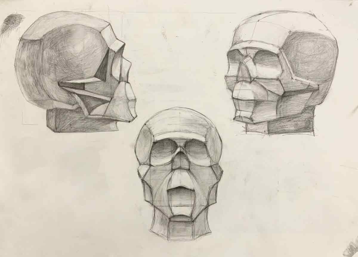 Обрубовка черепа академический рисунок