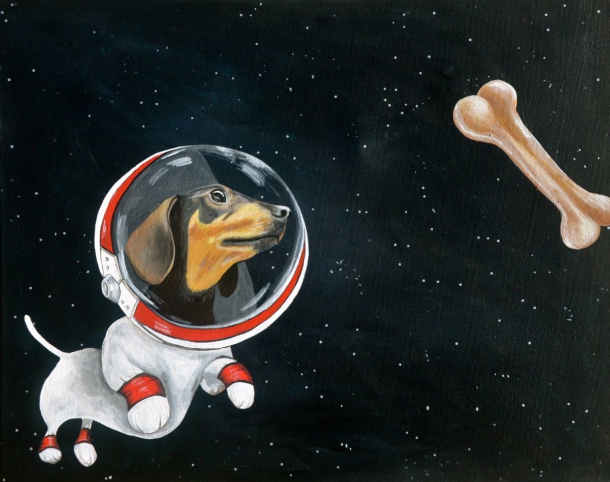 Животные в космосе