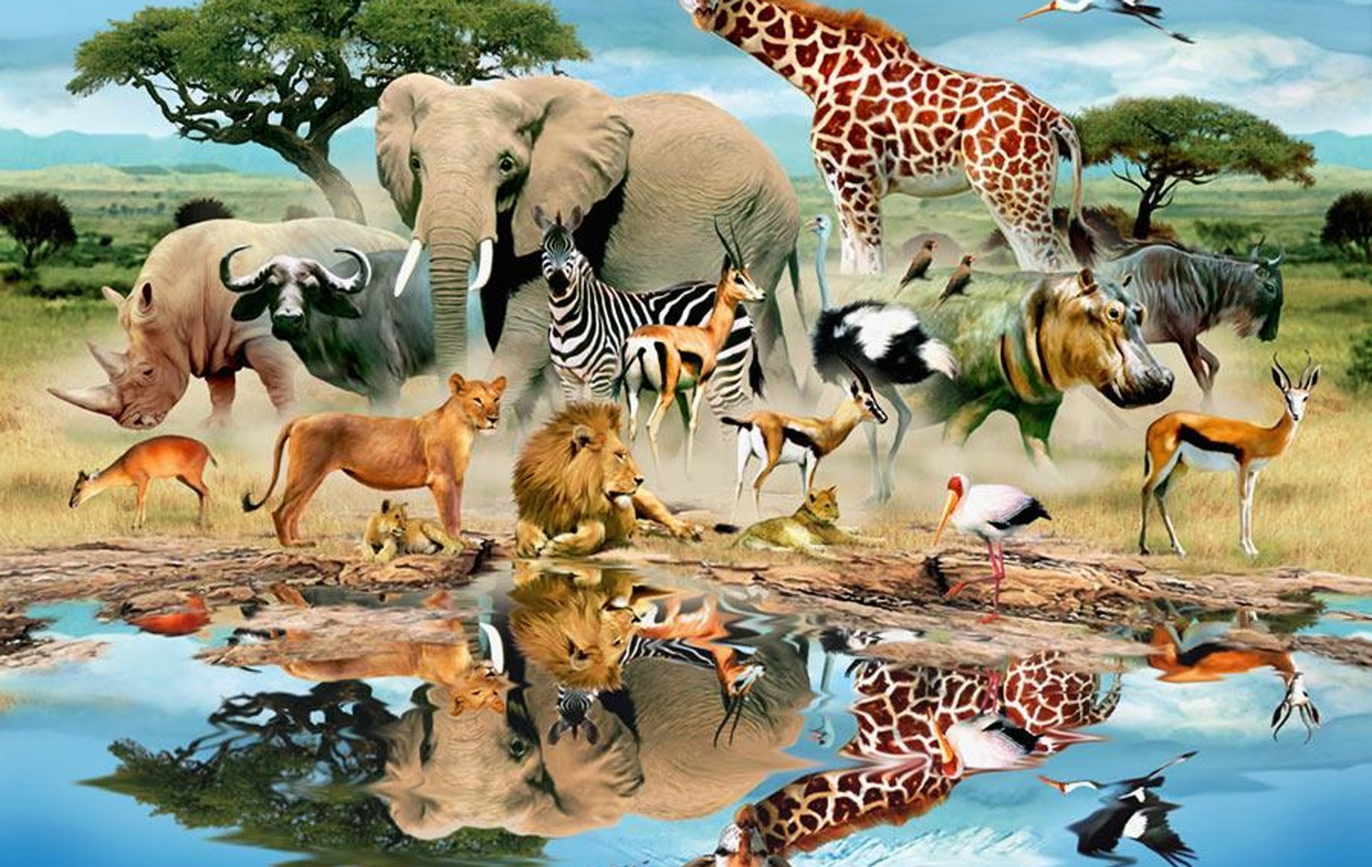 Африканские животные и растения