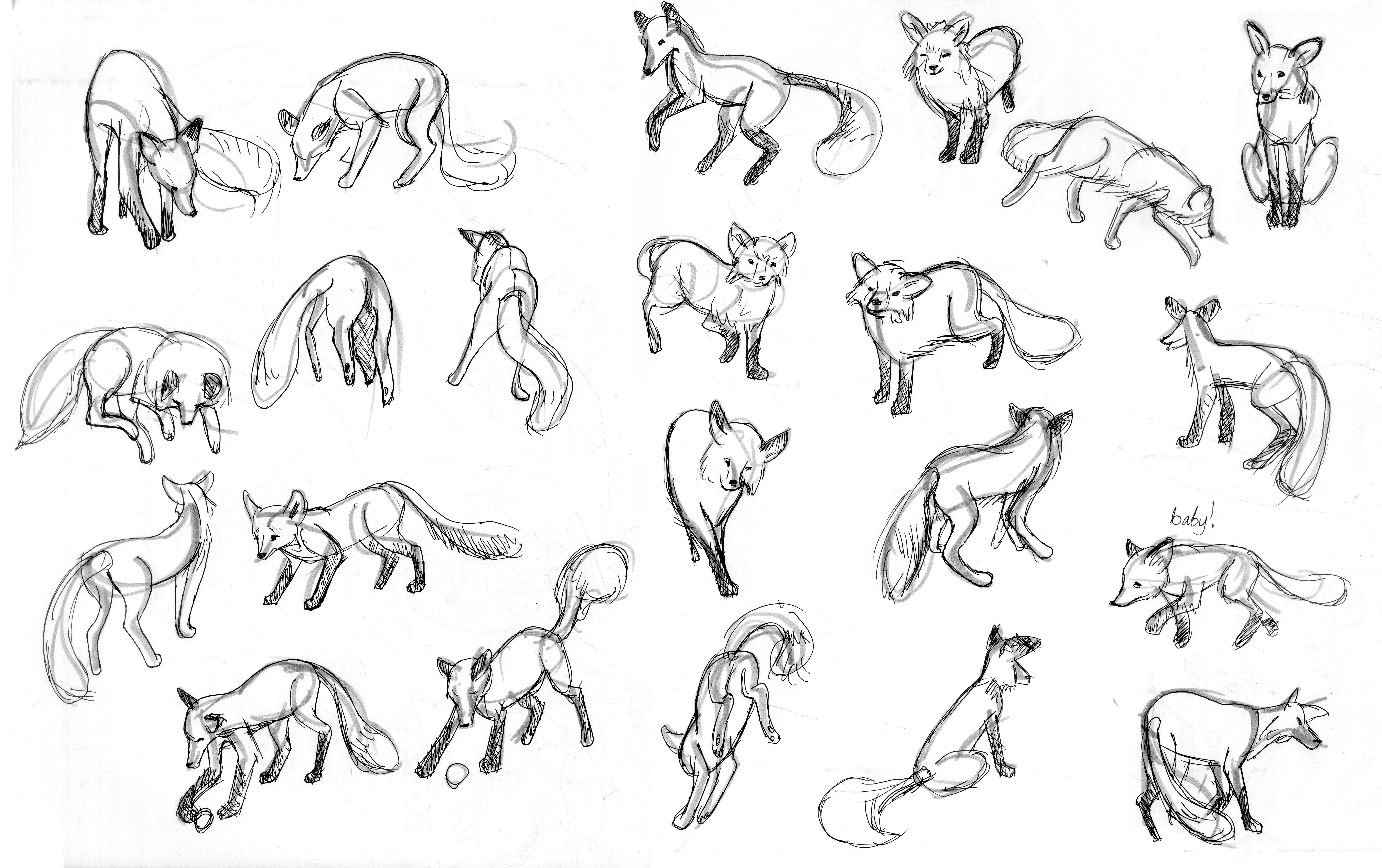 Стилизация животных рисунки карандашом