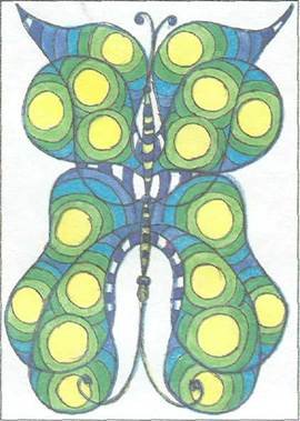 Симметрия (биология)