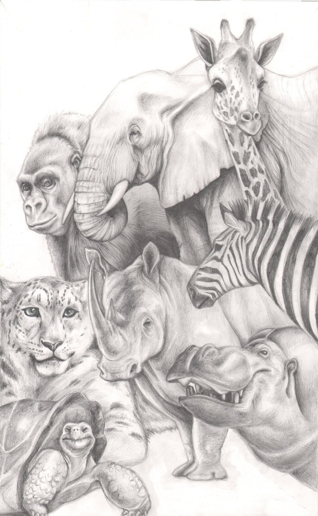 Рисунки карандашом животные