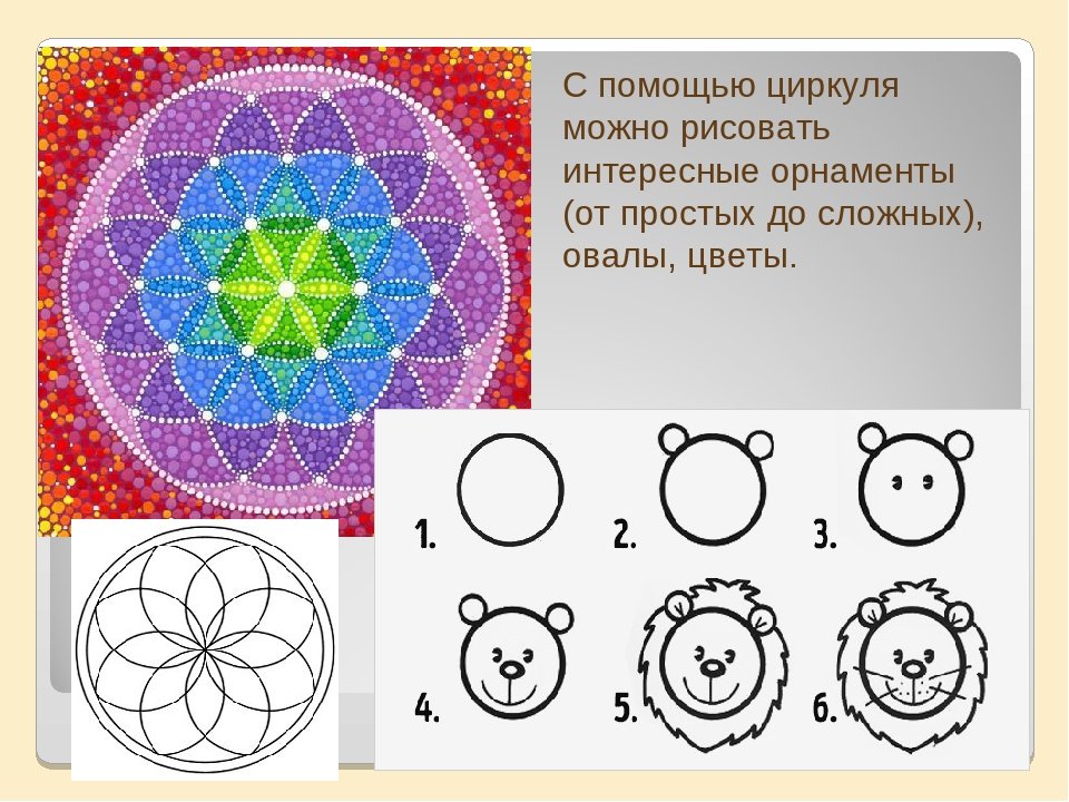 Раскрась цветными карандашами цветы из окружностей