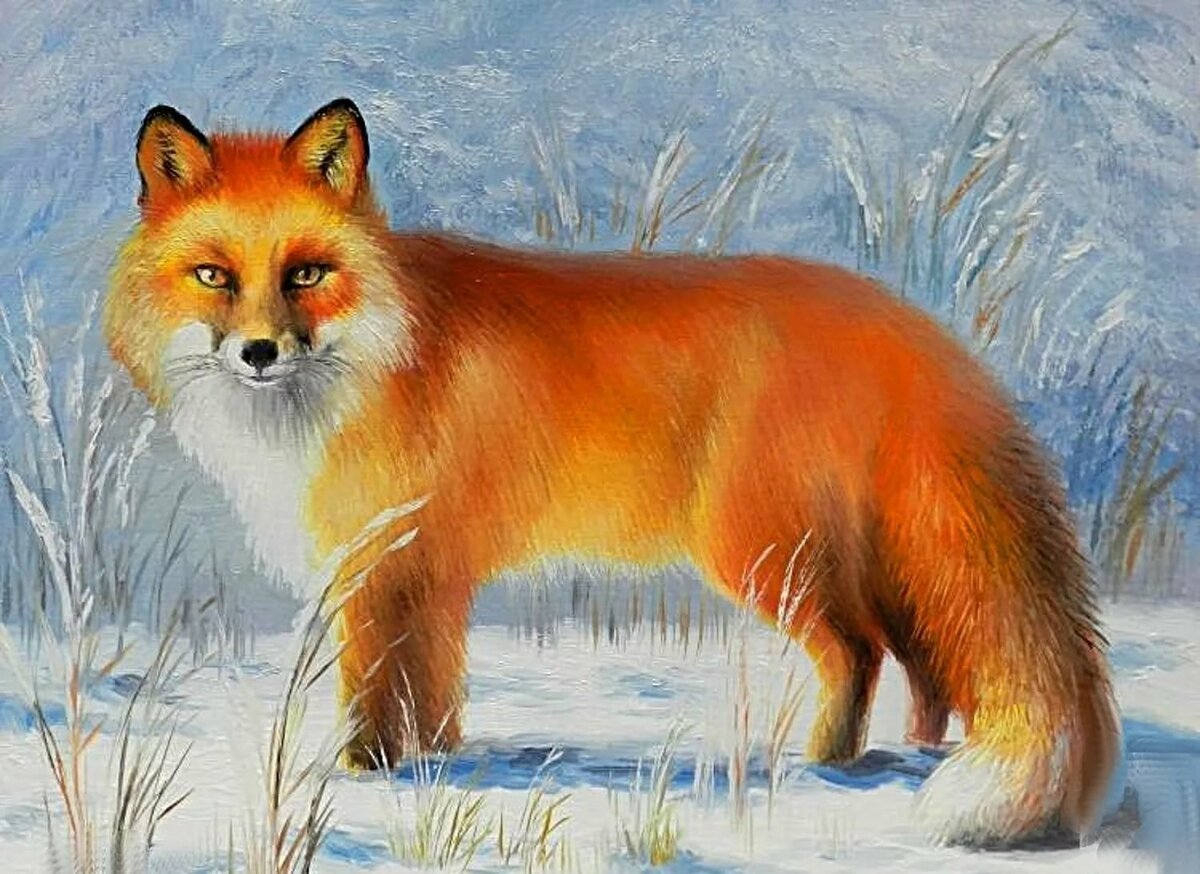 картинки диких животных лиса