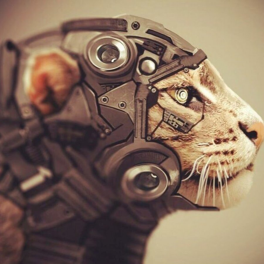 Cyberpunk кот фото 68