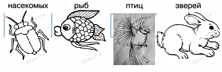 Схематичное изображение насекомых рыб птиц зверей