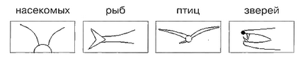 Схематические признаки насекомых рыб птиц