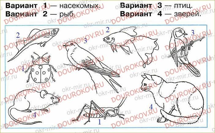 Тест класс птицы вариант 1. Схематические рисунки насекомых рыб птиц зверей. Изобрази с помощью схематических рисунков. Какие бывают животные рабочая тетрадь. Изобразил с помощью схематических рисунков главные признаки.