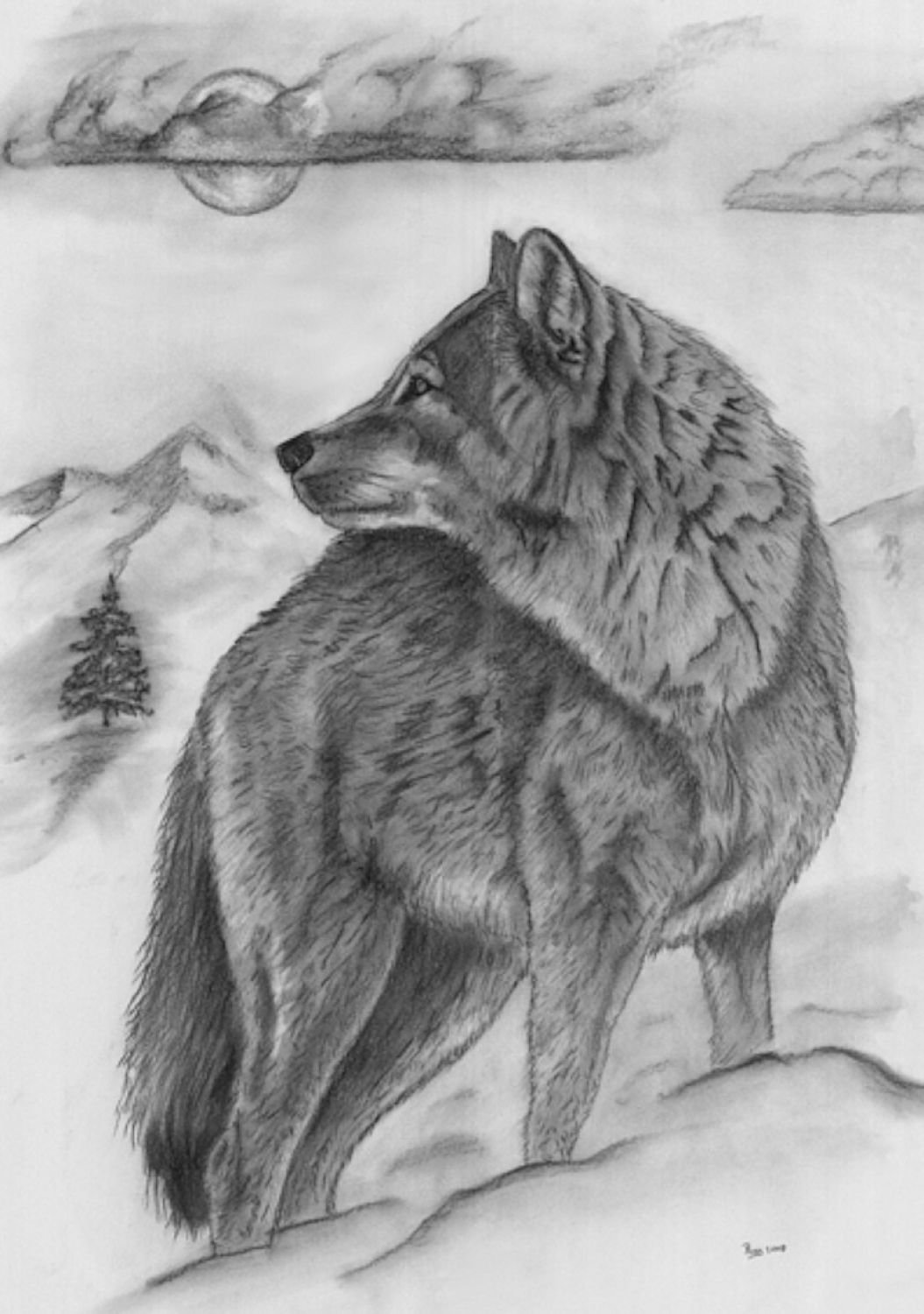 Картинки волка карандашом