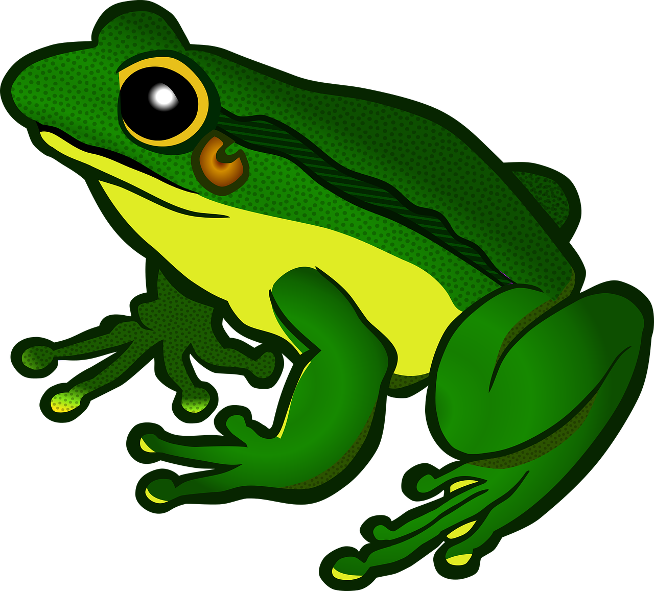 Лягушка Froggy. Лягушка на белом фоне мультяшная. Лягушка картинка для детей. Жаба рисунок для детей.