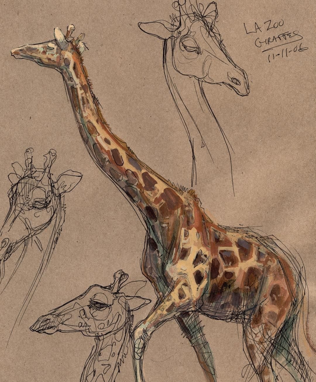 Анатомия жирафа для рисования