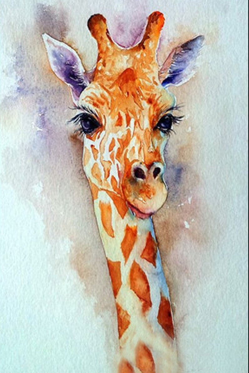 жираф милые картинки