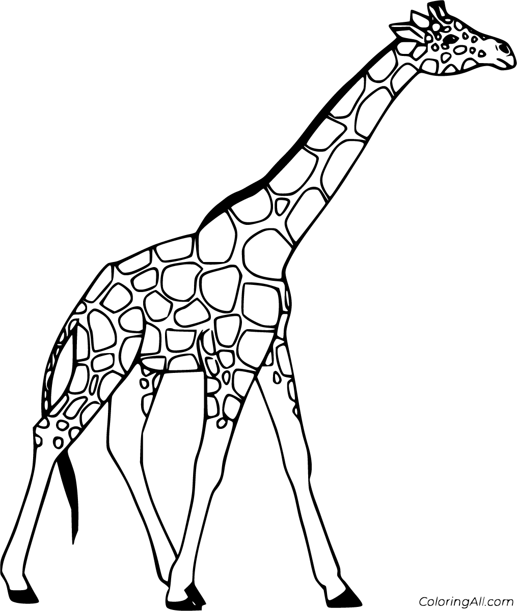 Жираф рисунок раскраска
