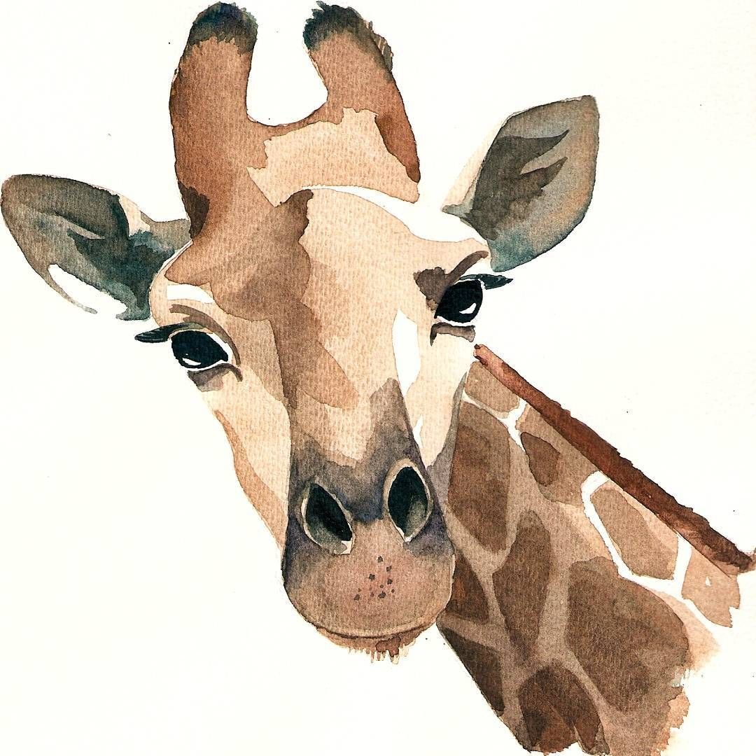Голова жирафа акварелью