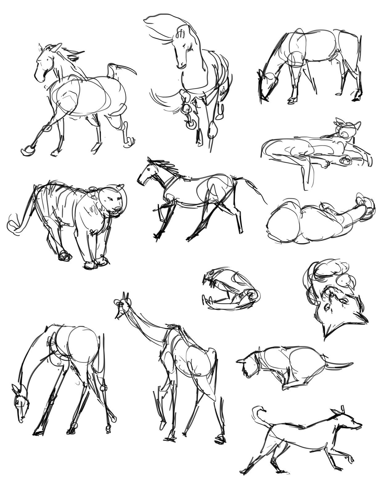 Зарисовки животных в движении