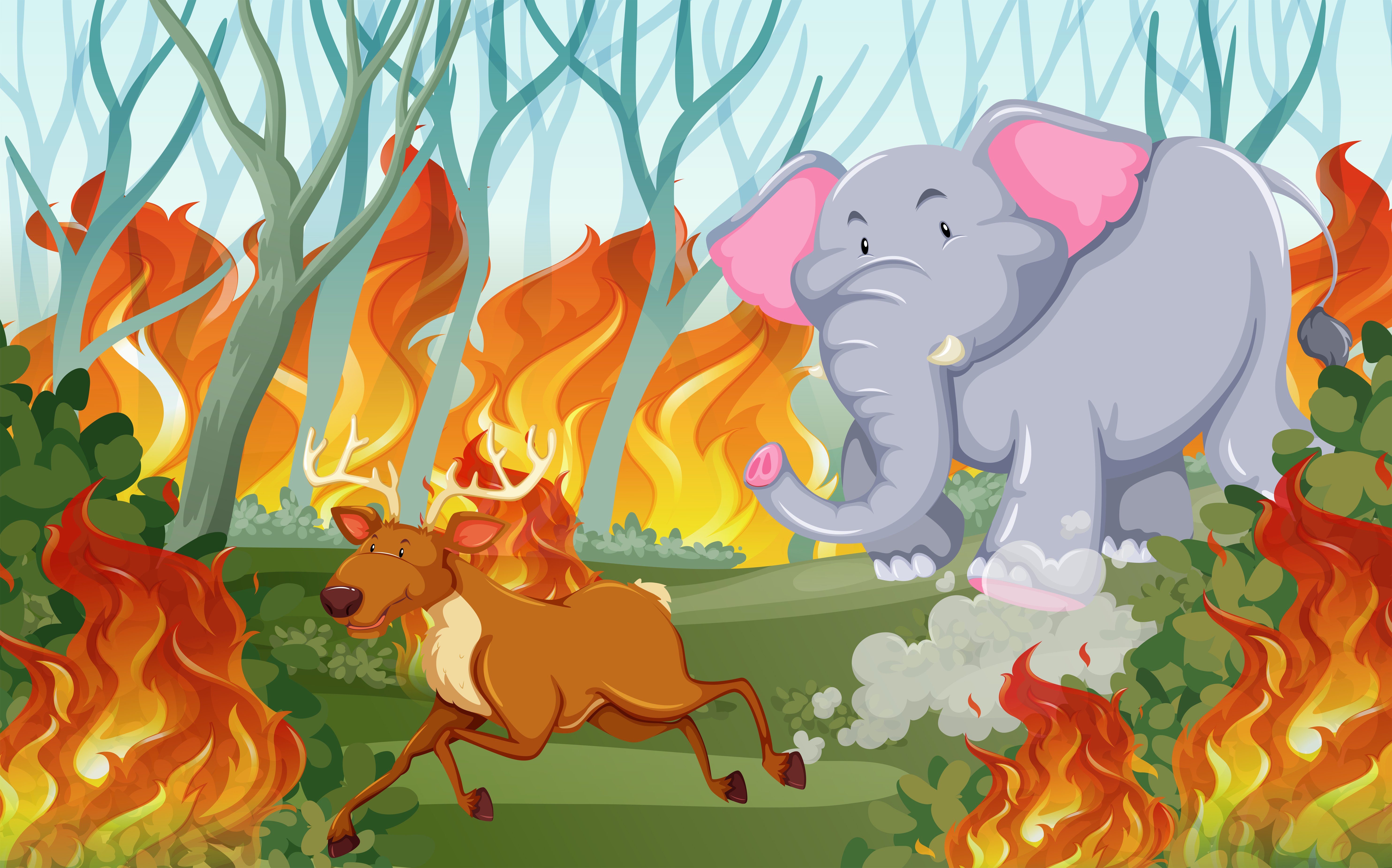 картинки лес в огне для детей