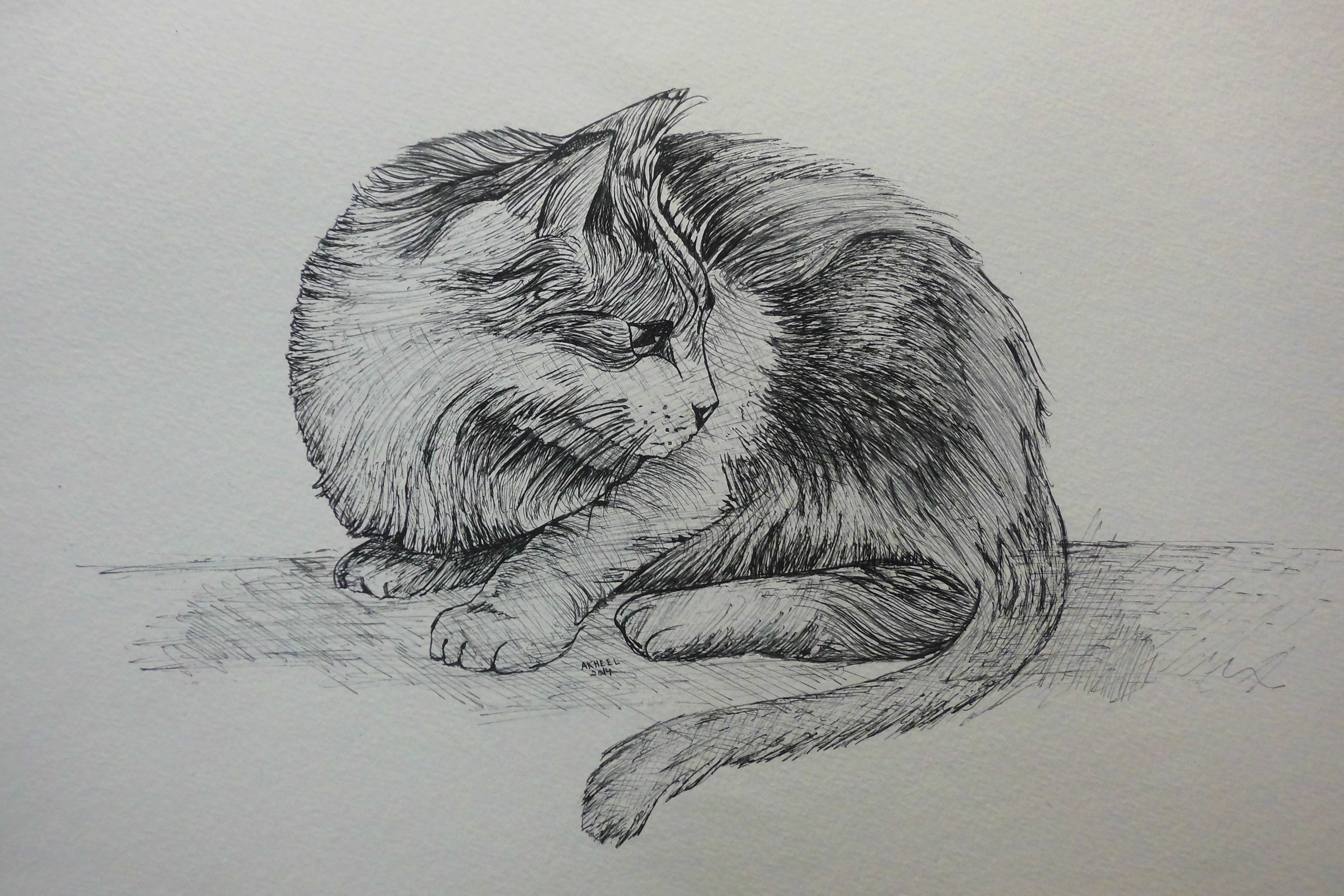 Кот штриховка карандашом