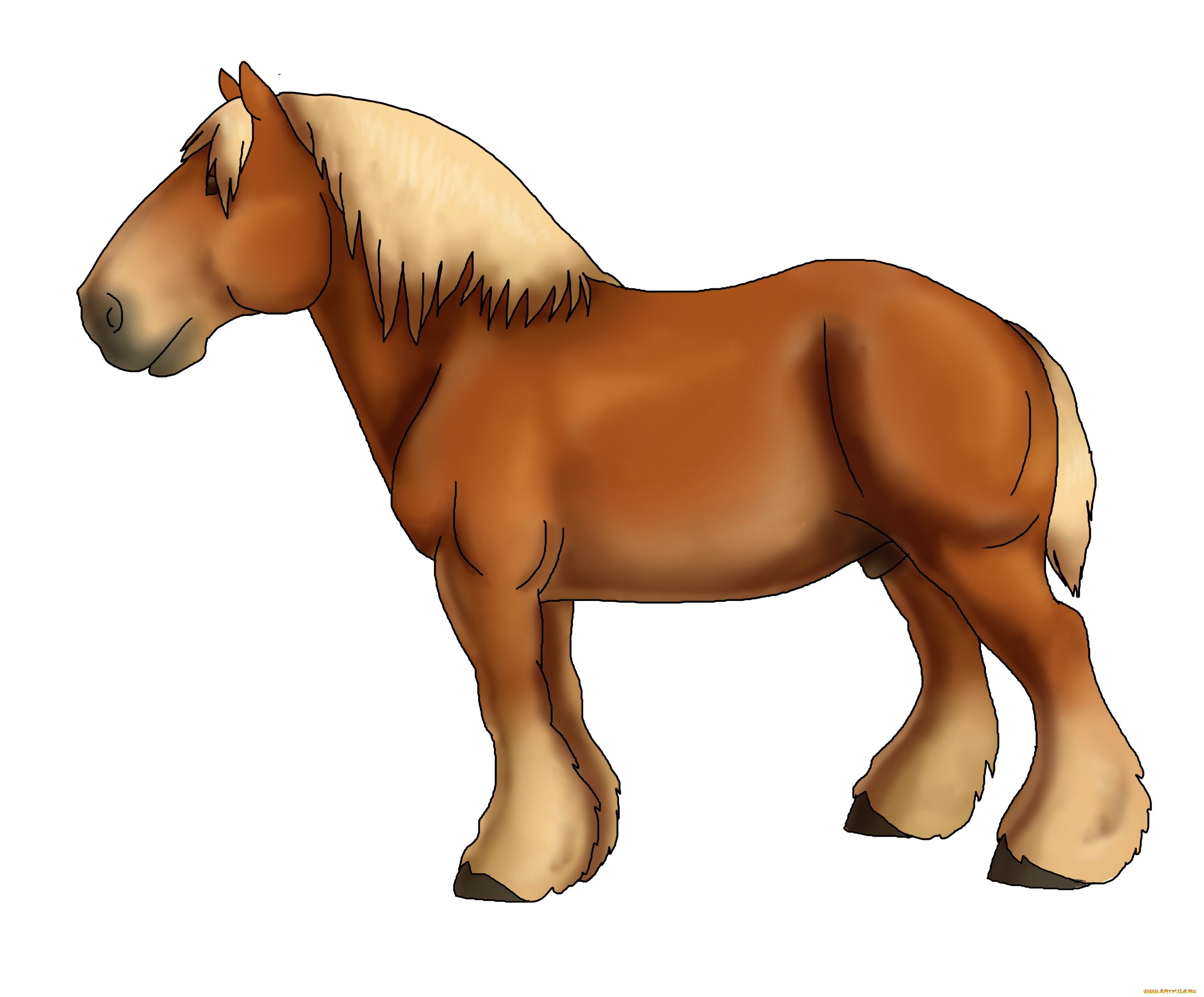Лошадка на 7. Лошадка рисунок. Лошадь для детей. Лошадь мультяшная. Лошадка картинка для детей.