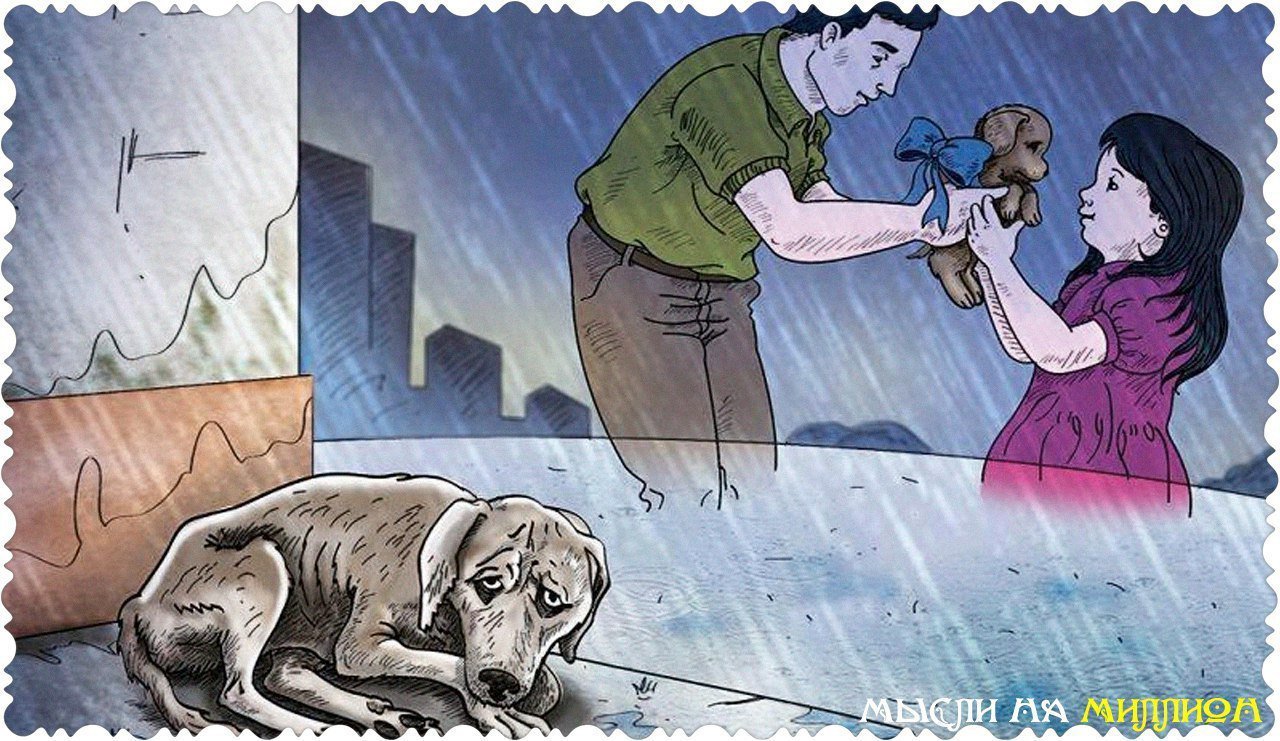 Сопереживание рисунок. Иллюстрации бездомных животных. Бездомные животные. Рисунок на тему сострадание. Рисунок на тему без ДМНЫЕ собаки.