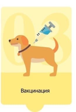 Прививки для собак