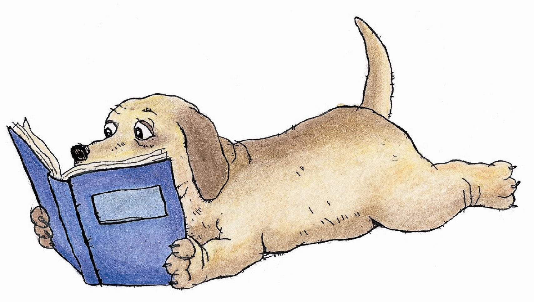 Собака с книгой на белом фоне