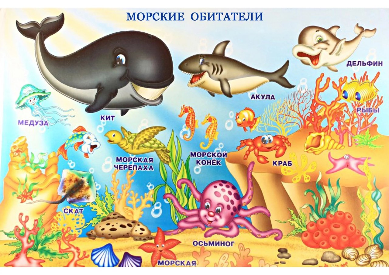 Плакат морские обитатели для детей