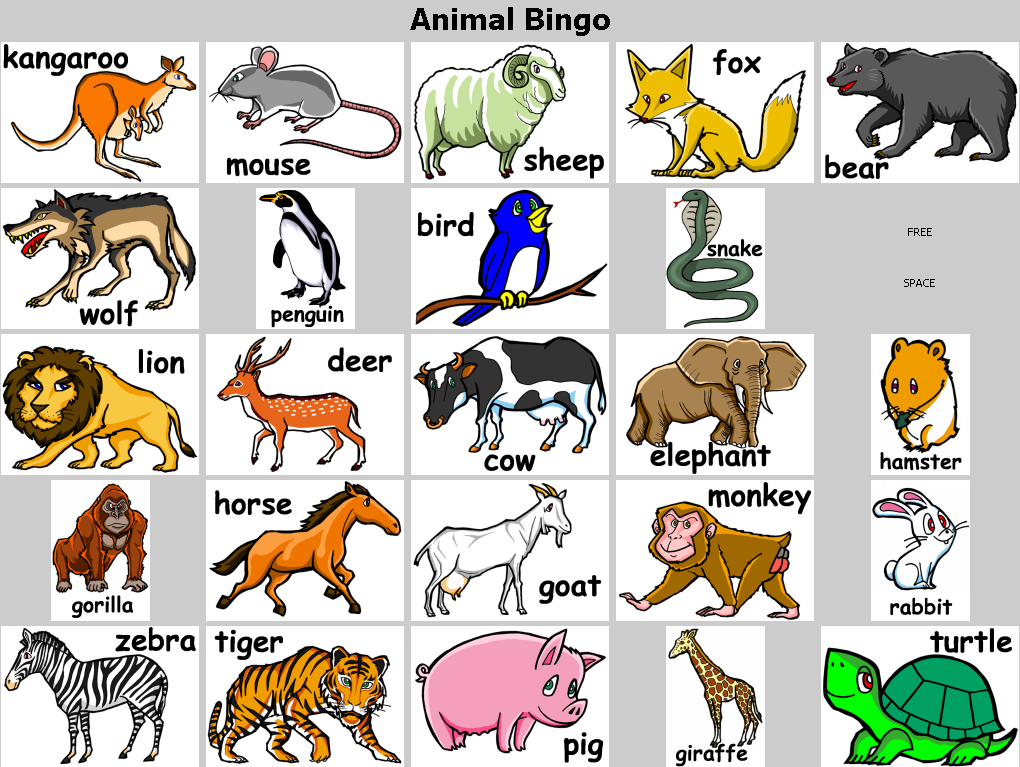 Английский 2 класс тема животных. Животные на английском. Животные нкаанлийском. Тема животные на английском. Животные на английском языке для детей.