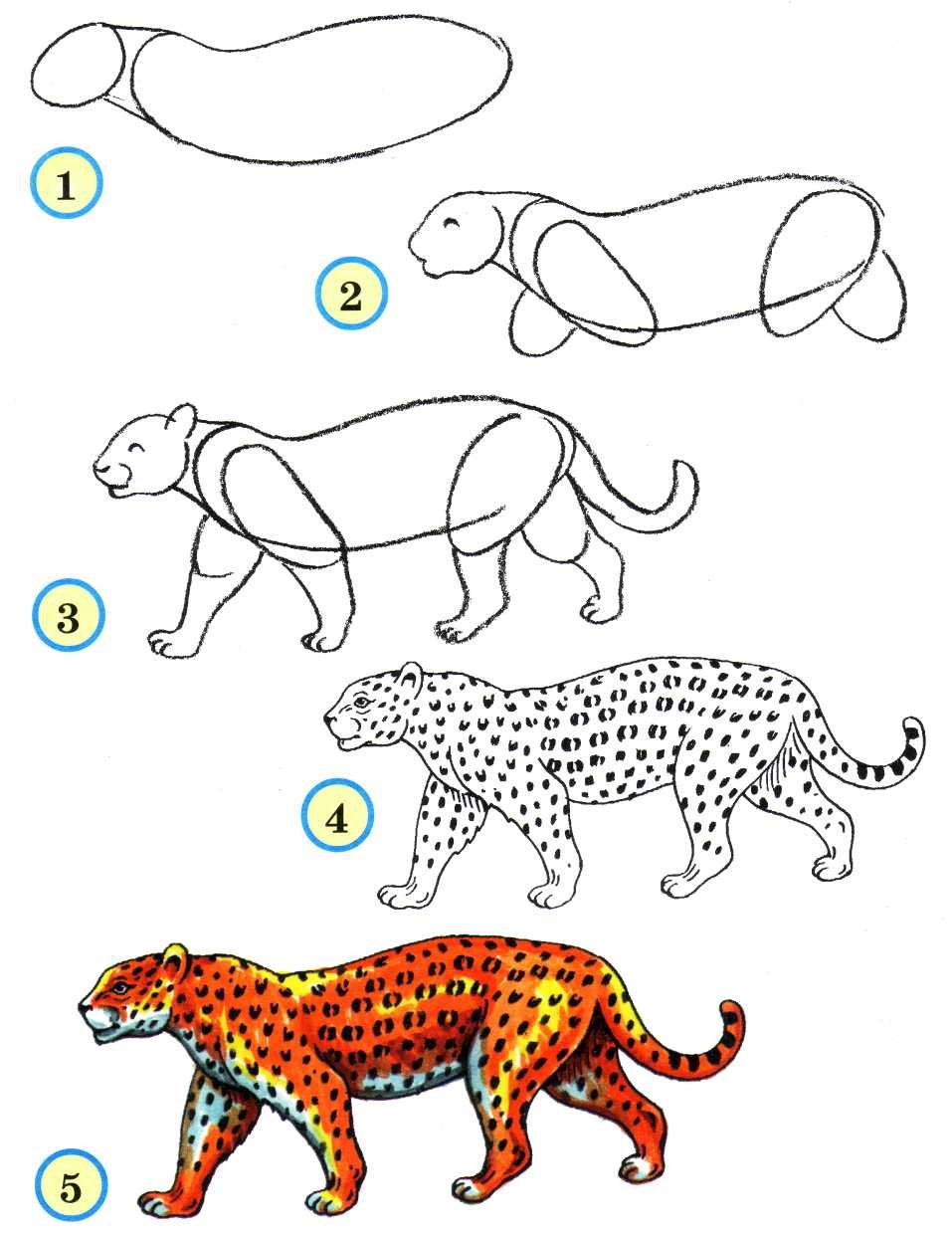 Животные для рисования для детей