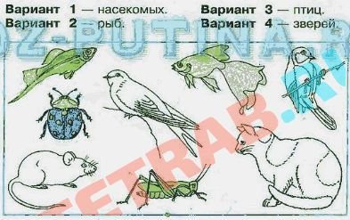 Различными животными рисунок окружающий (49 фото)