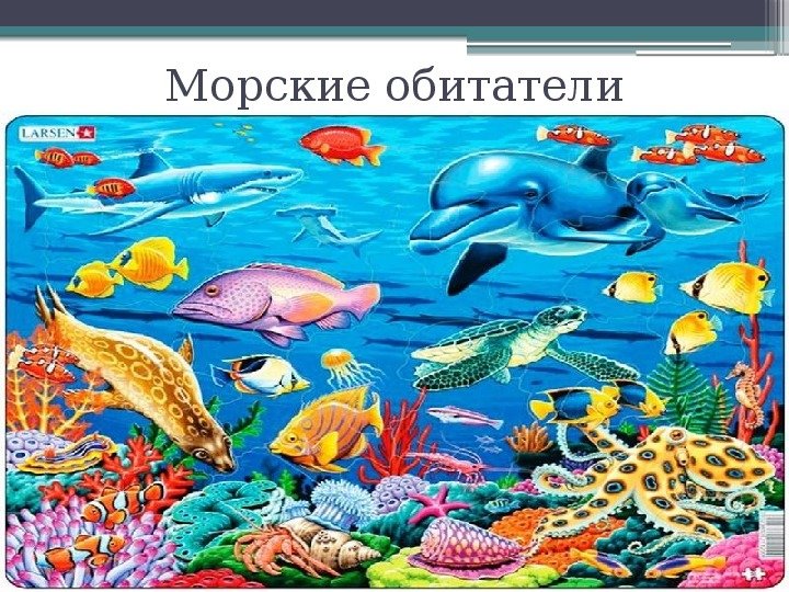 Морской мир кратко. Обитатели океанов для детей. Животные морей и океанов для детей. Плакат животный мир морей и океанов. Обитатели морей и океанов для детей подготовительной группы.