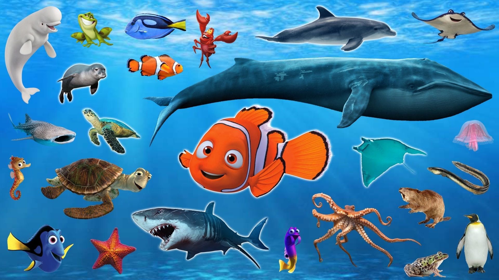 Морские животные для детей
