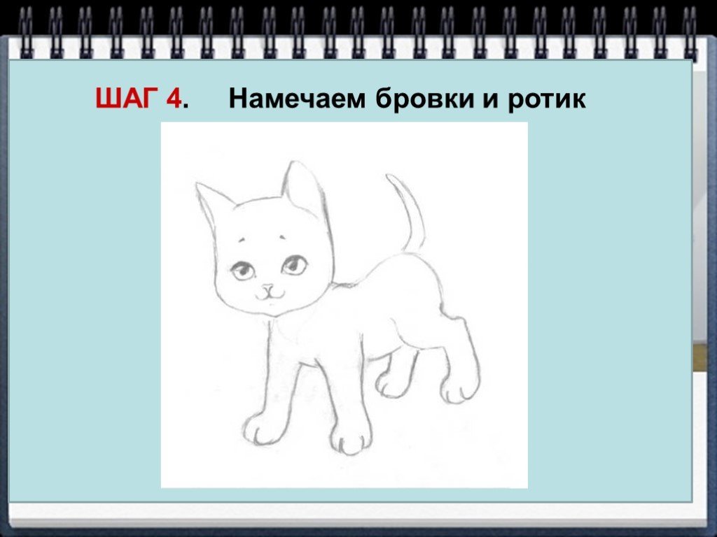 Изобразить характер животного. Схема рисования котенка для детей. Поэтапное рисование кошки в старшей группе. Схема рисования котенка для средней группы. Рисунок котенка урок изо.
