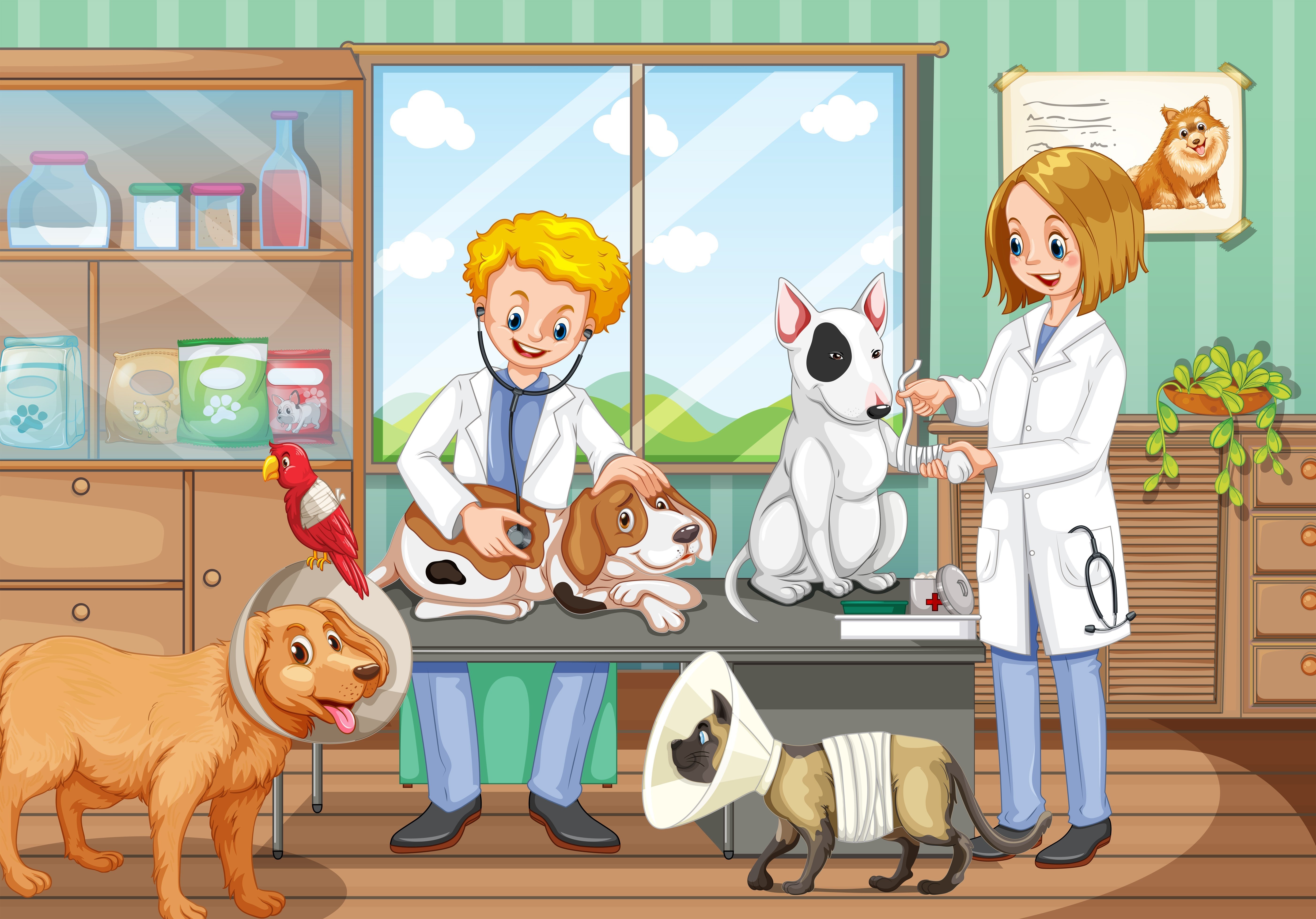 Картина ветеринар для детей