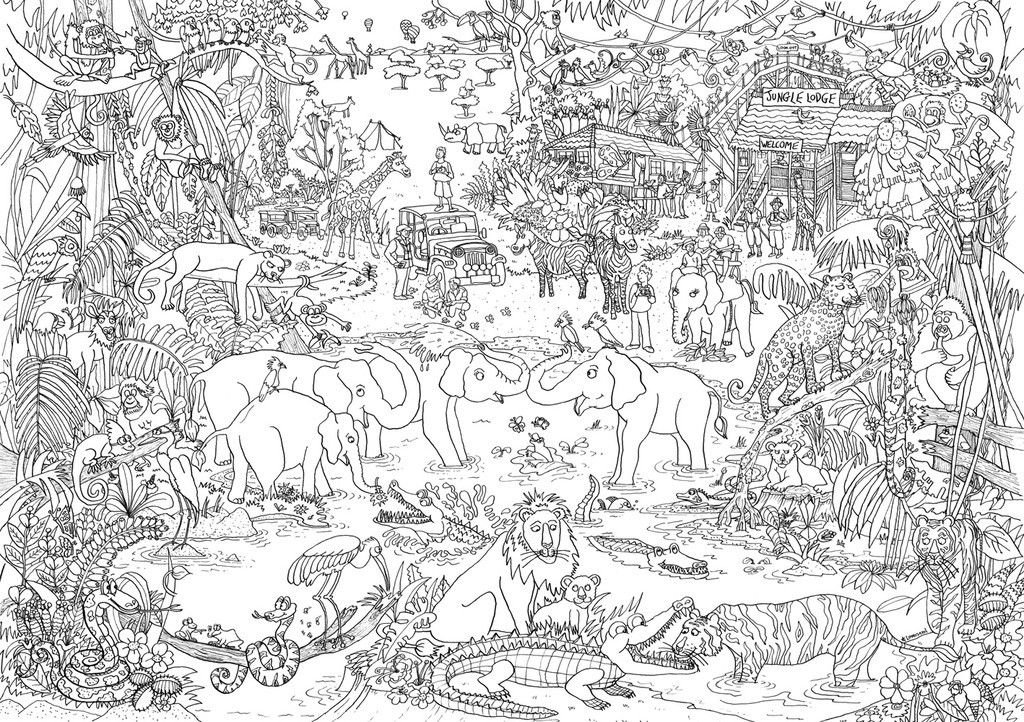 Найди животное на картинке. Раскраска джунгли. Найти всех животных на картинке. Найди и Разукрась животных. Картины с животными раскраски.