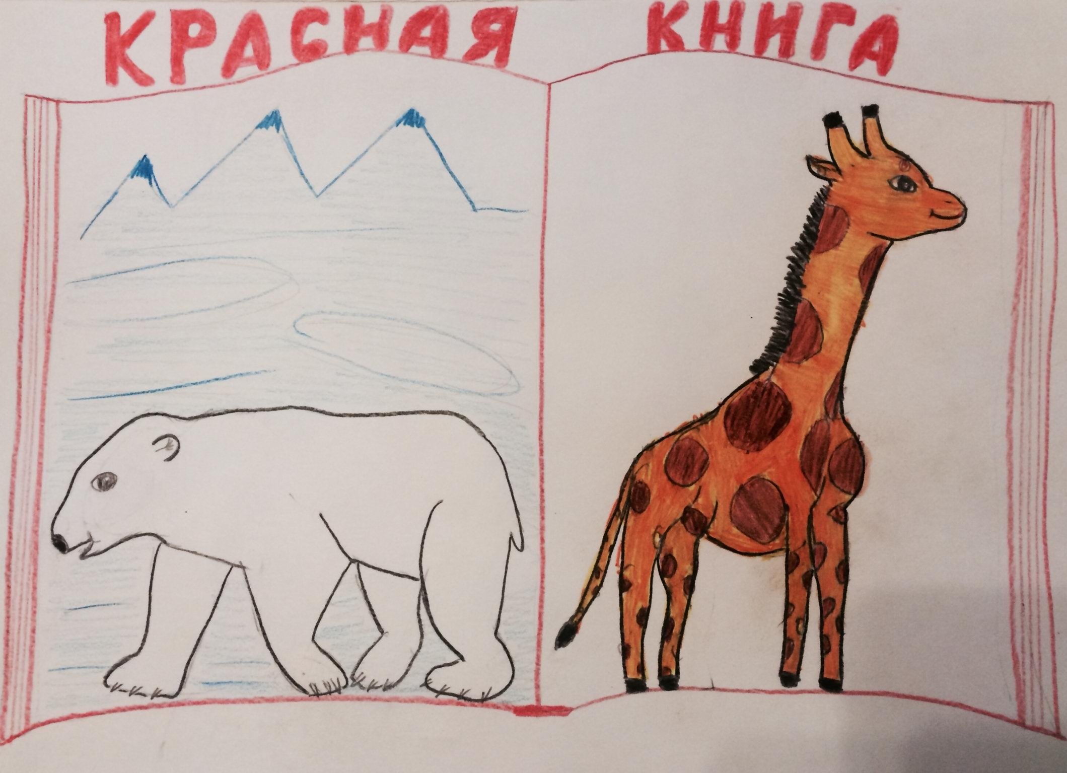 Рисунки на тему красная книга России
