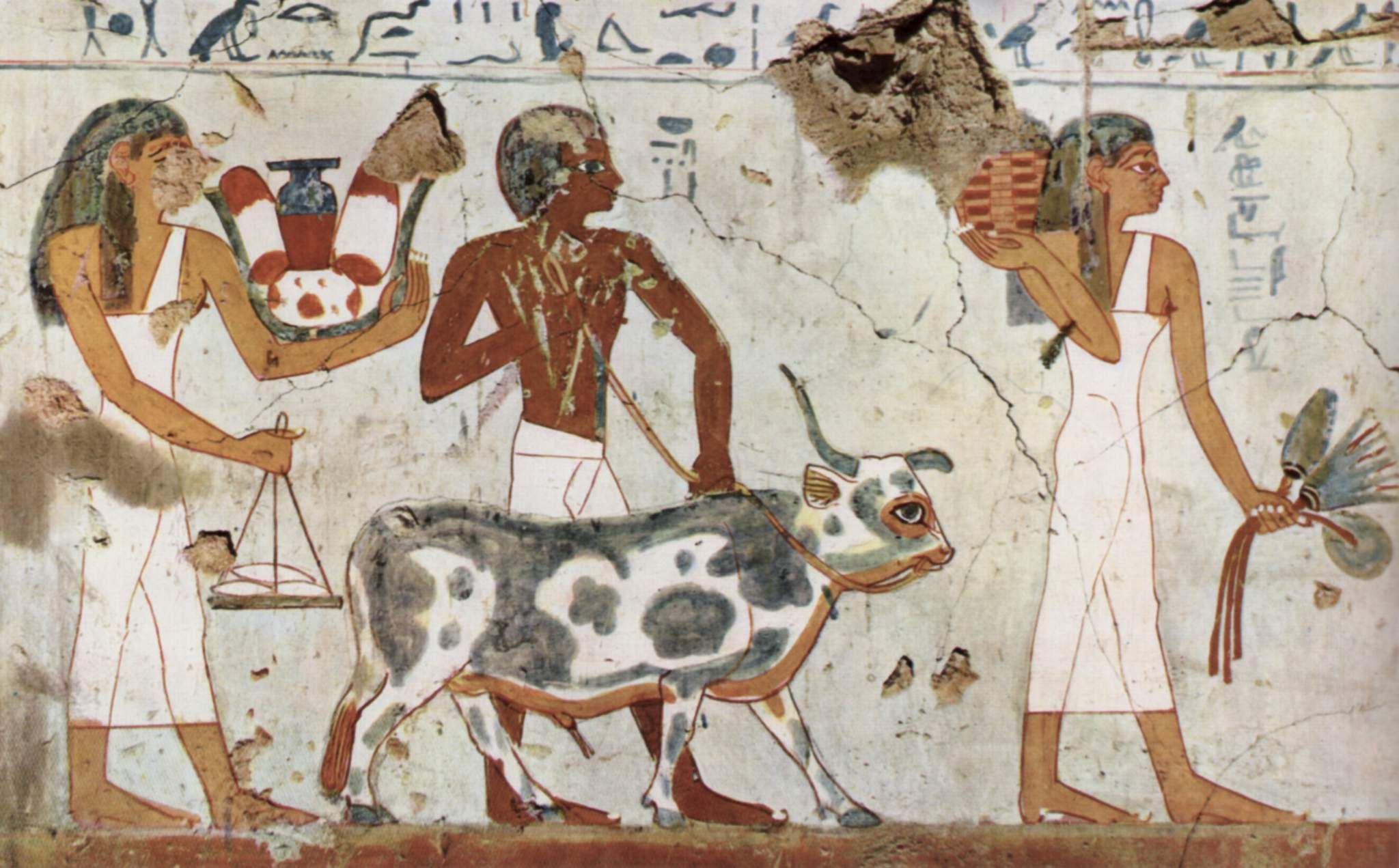 Ветеринары в древнем Египте