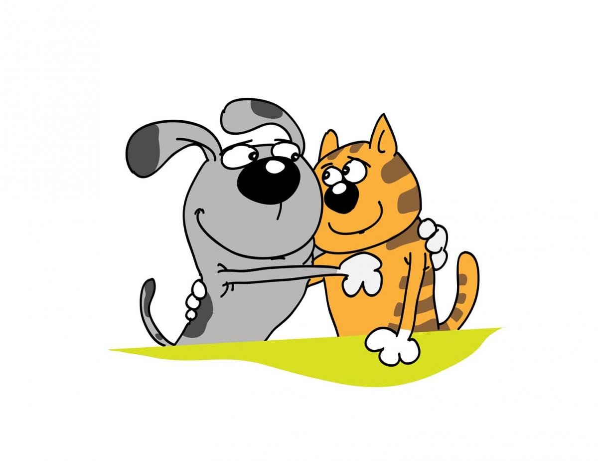 Смешные рисунки котов и собак