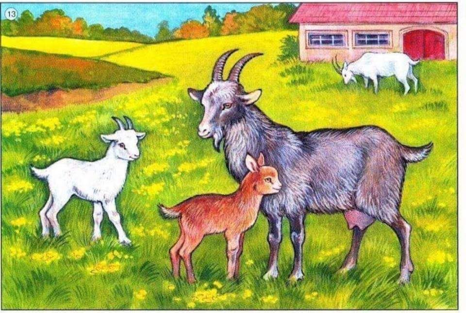 Козленок на английском. Рассматривание картины «коза с козлятами». В.В.Гербова. Коза с козлятами картина. Козочка и козлята. Коза для детей.