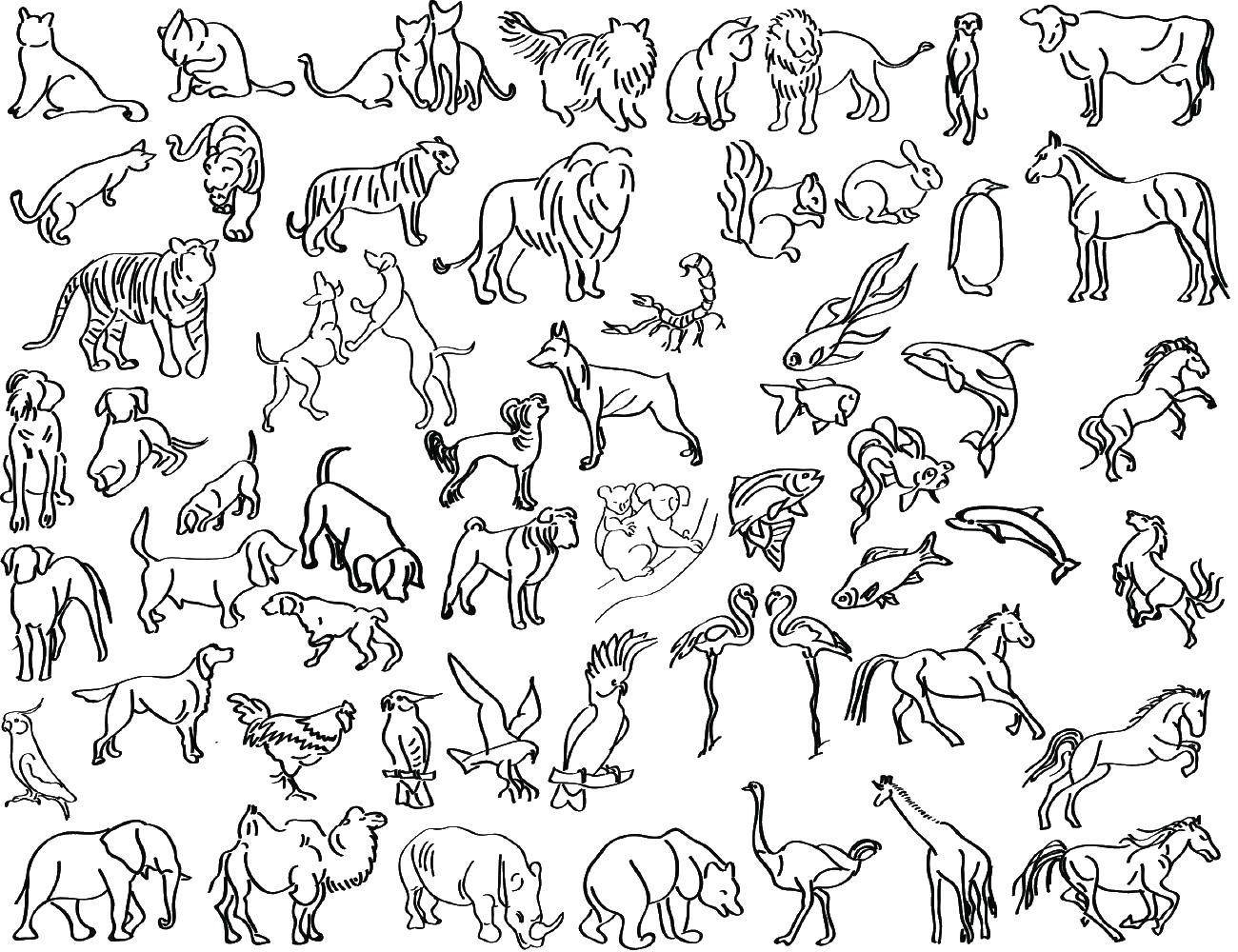 Множество рисунков животных на одном листе