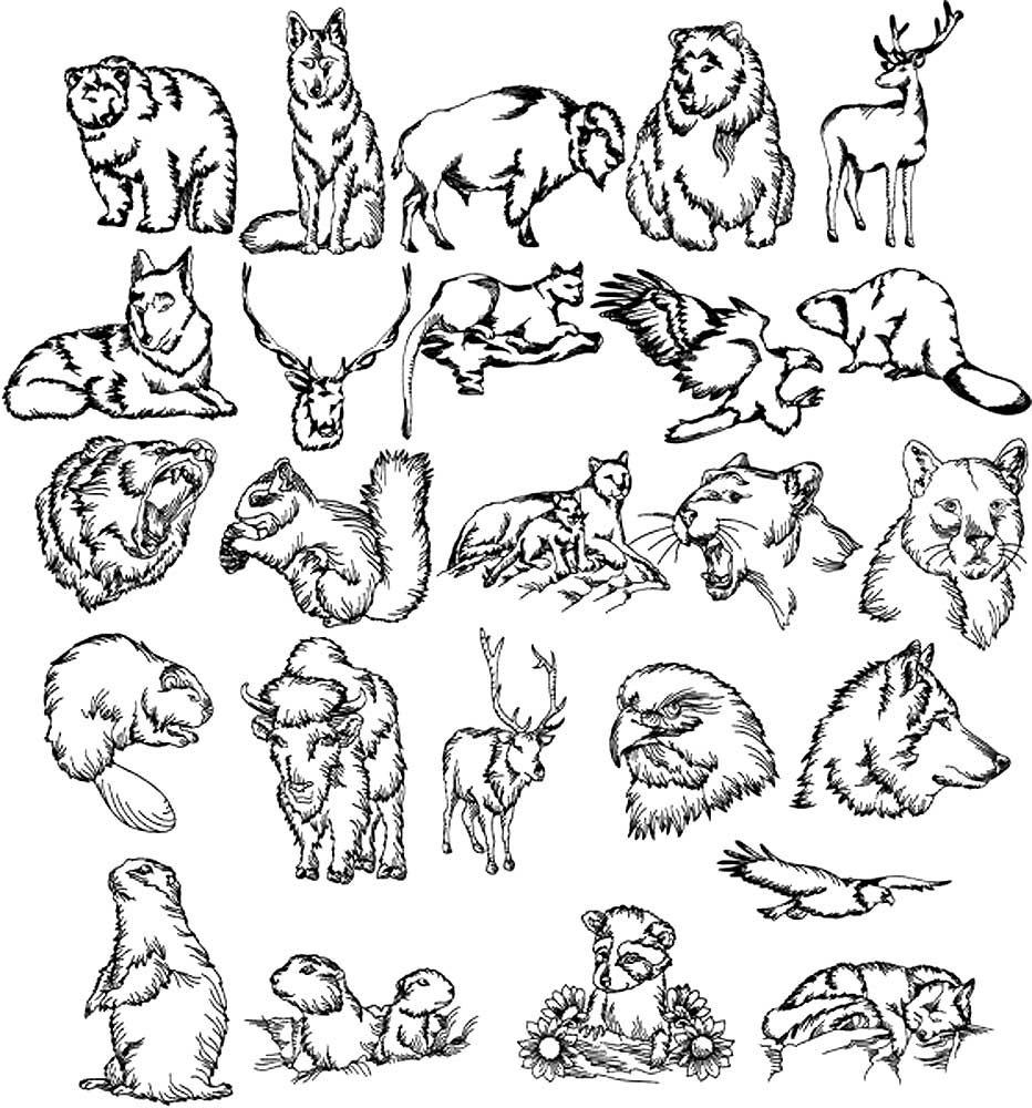 Много животных на одном листе